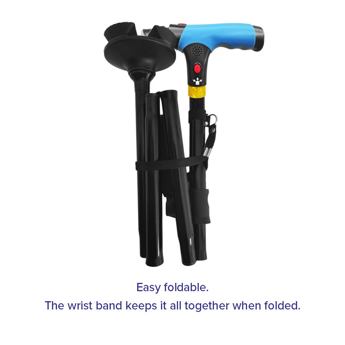 DR-HO'S Get Up & Go Deluxe Walking Stick
