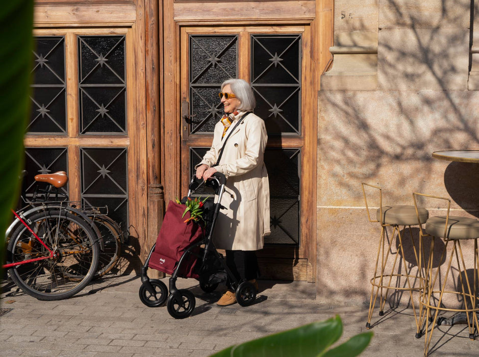 City Walker by Playcare
