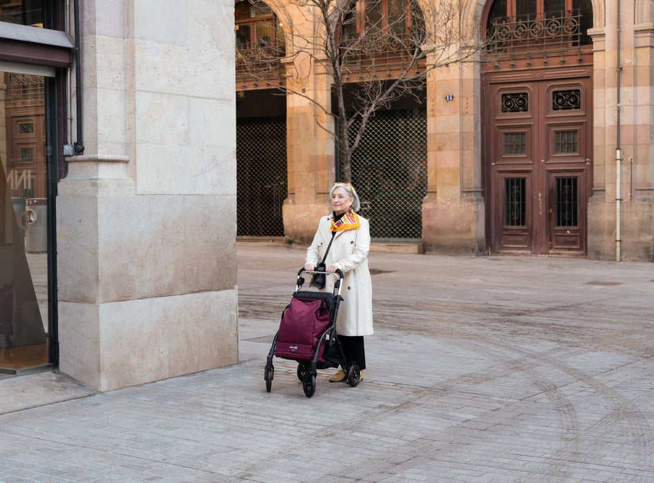 City Walker by Playcare