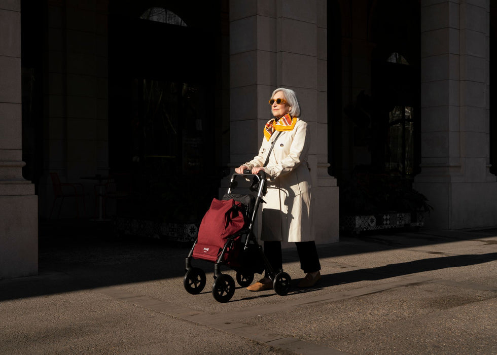 City Walker by Playcare