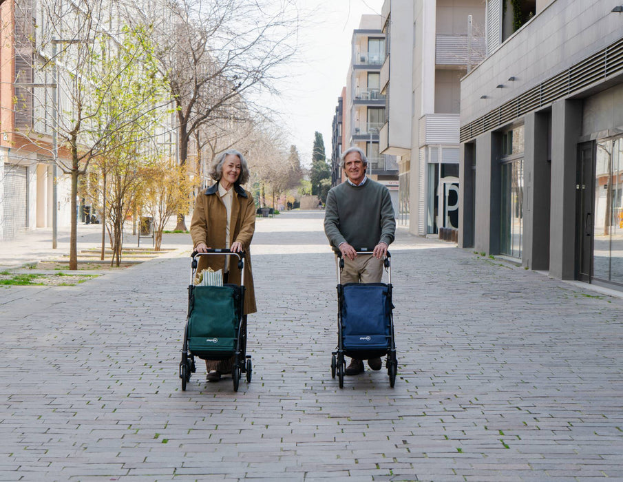 City Walker by Playcare